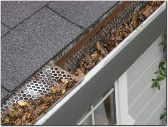 Nettoyage de gouttière Chancelade en Dordogne