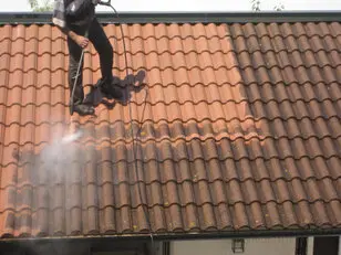 Entreprise Nettoyage Toiture Dordogne