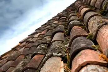 Entreprise Nettoyage Toiture Dordogne